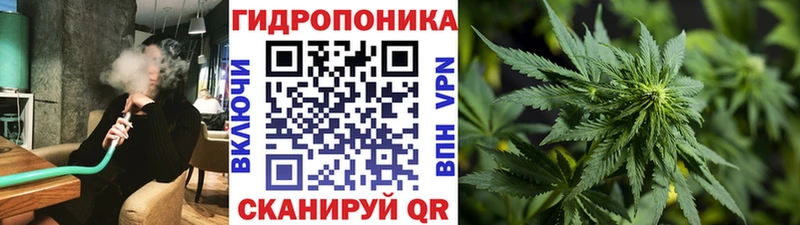 Где купить наркоту Ессентукская COCAIN  Амфетамин  ГАШИШ  Галлюциногенные грибы  MDMA  МАРИХУАНА  Меф мяу мяу 