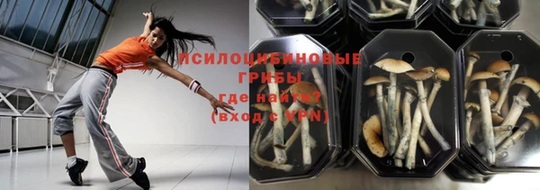 прущая мука Абаза
