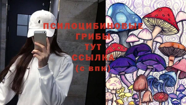 дмт Алзамай